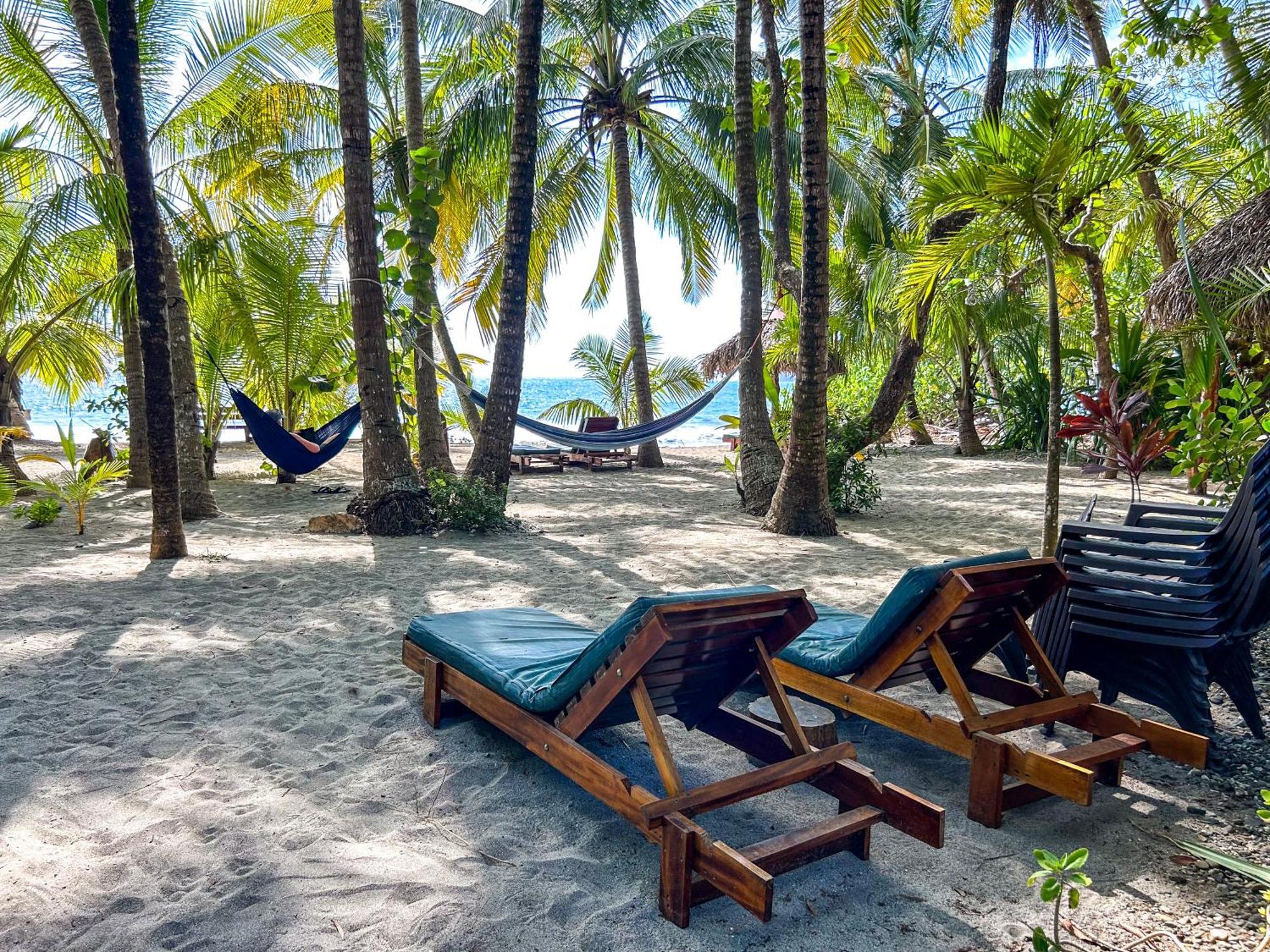 Fenix Hotel - On The Beach Samara Bagian luar foto