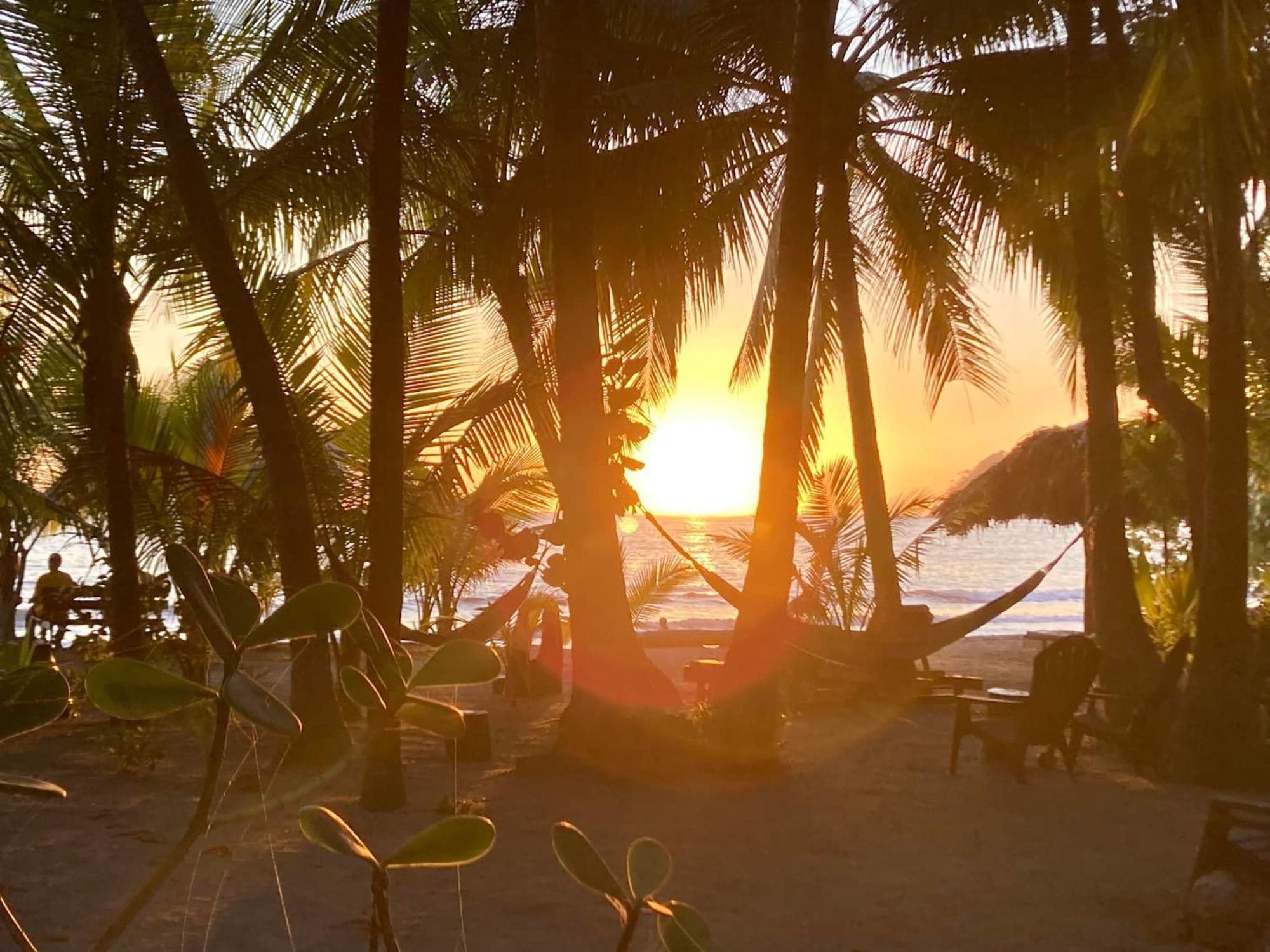 Fenix Hotel - On The Beach Samara Bagian luar foto